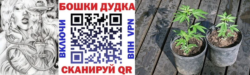 Что такое Среднеколымск МАРИХУАНА  Меф мяу мяу  Кокаин  Гашиш 