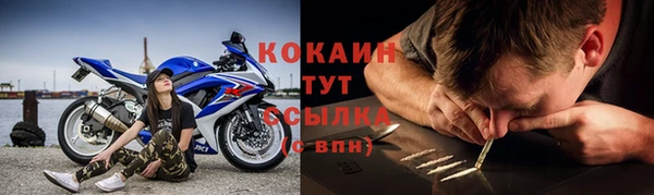 бошки Ладушкин